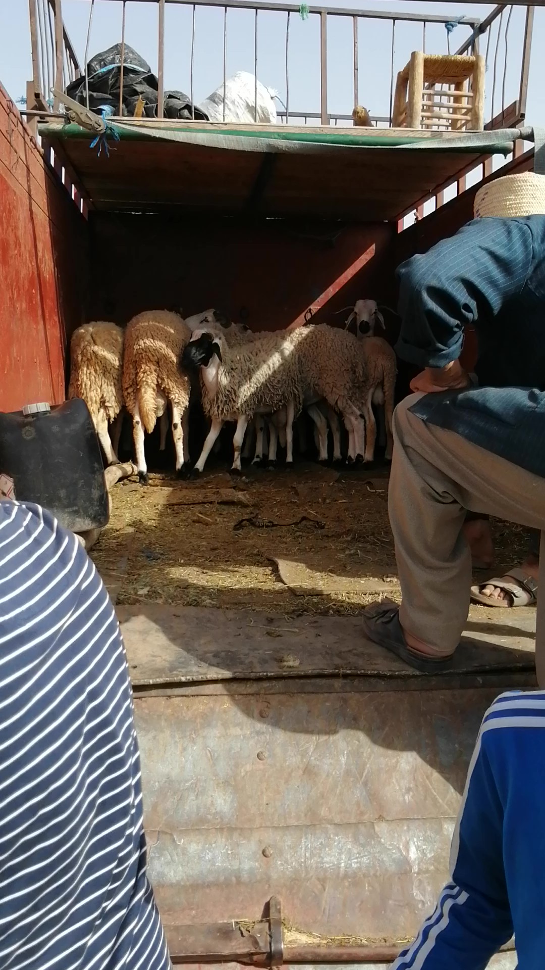 Préparation de la distribution au Maroc