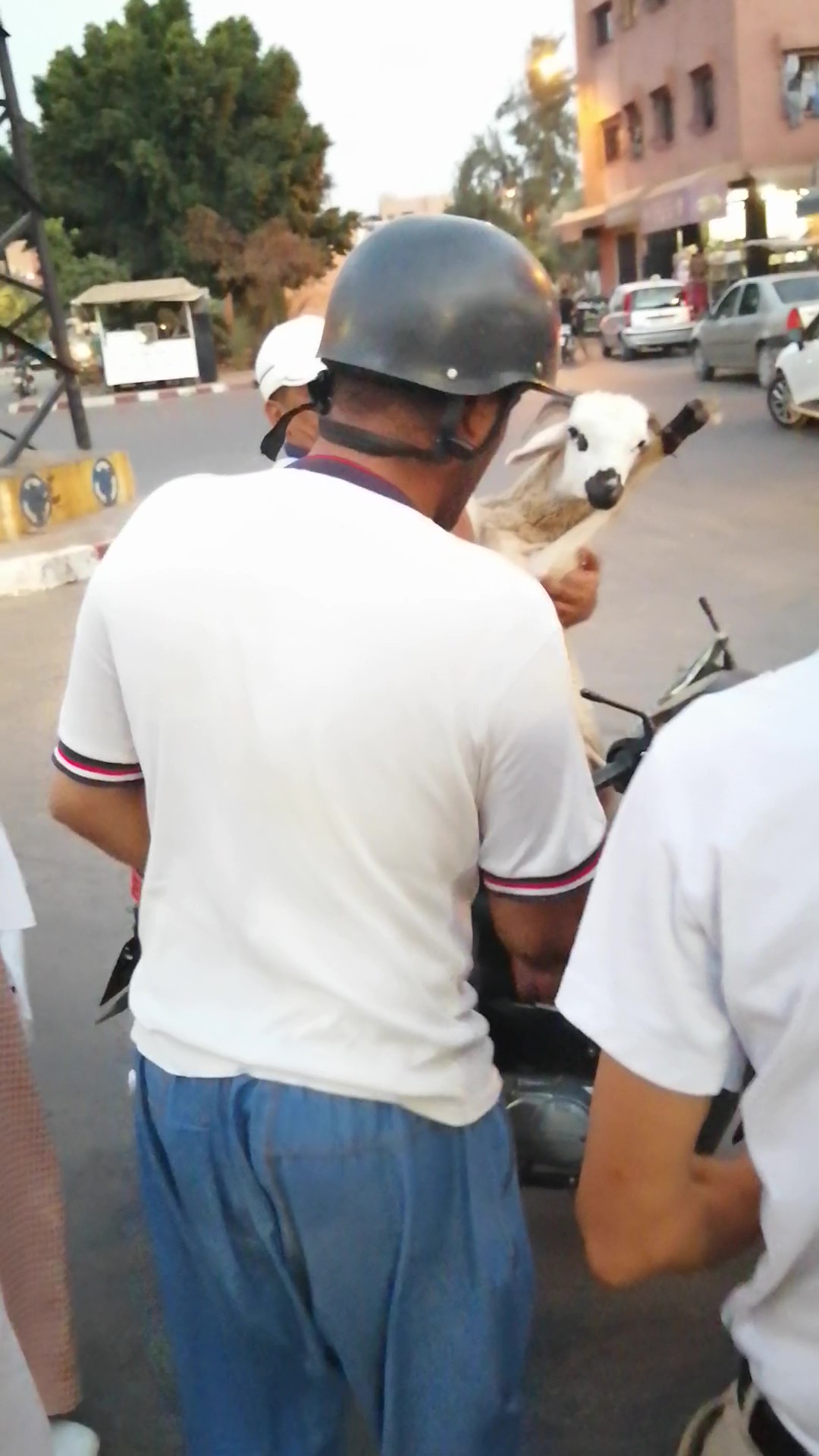 Journée de distribution de l'Aïd au Maroc